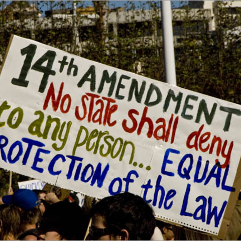 people holding sign that says 14th amendment no state shall deny to any person... equal protection of the law